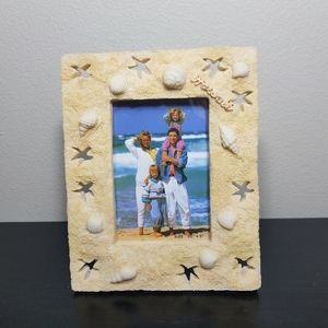 NIB Hawaii Sea Shell / Sand Dollar Frame